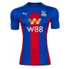 Virallinen pelipaita Crystal Palace Koti 2020-21 Lyhythihainen - Miesten Virallinen pelipaita Crystal Palace Koti 2020-21 Lyhythihainen - Miesten